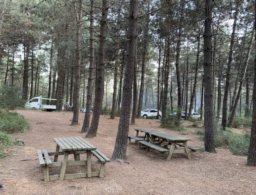 Göztepe Tabiat Parkı