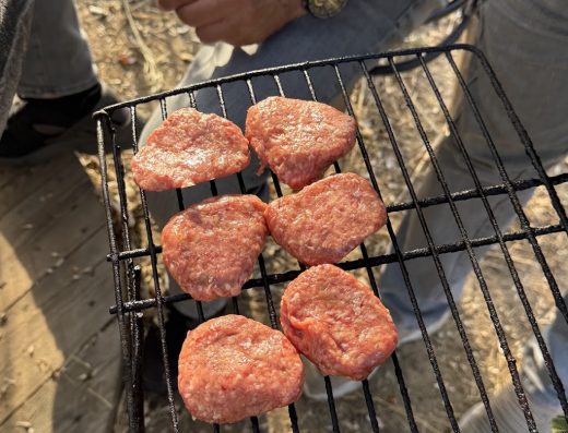 Koşan Kaplumbağa Karavan kamping