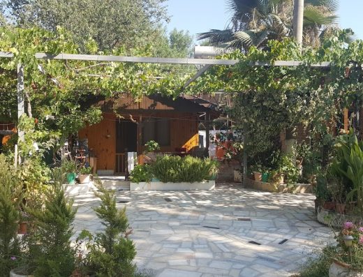 YANIKLAR DOĞA KAMP