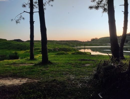 GREENTREKKİNG KAMP ALANI