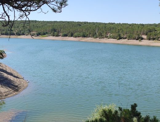 Musaözü Tabiat parkı