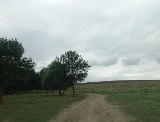 Ölücüler kamp alanı